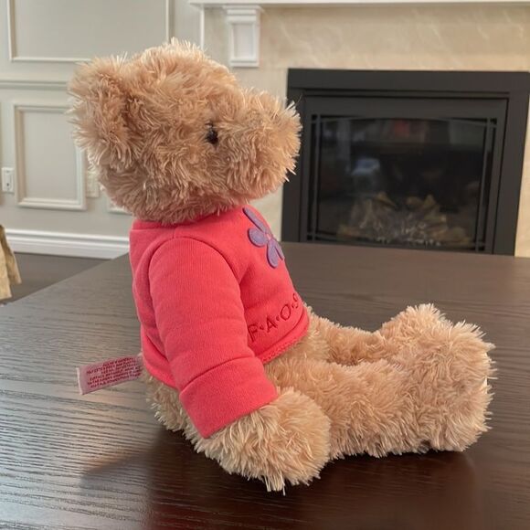 FAO Schwartz Bear Plush Brown Teddy Stuffed Animal Lovey Toy Pink Shirt Toy 16” - Picture 6 of 8